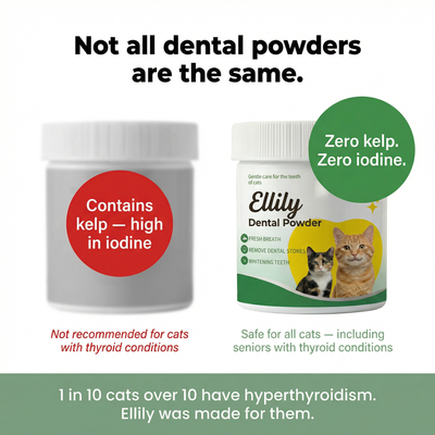 Ellily Cat Dental